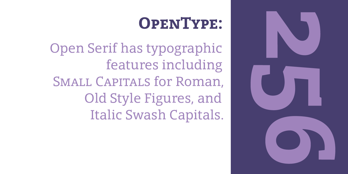 Пример шрифта Open Serif Inline